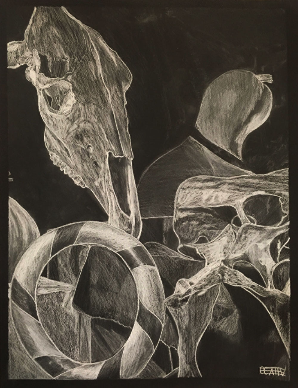 Still life drawing out of charcoal - specifically focused in on a skull, bones, and circular figure.