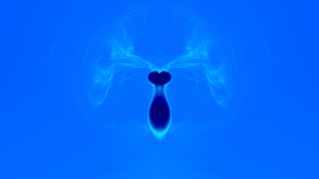 Dark blue organic shape in center of bright blue background.