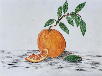 Still life of orange.