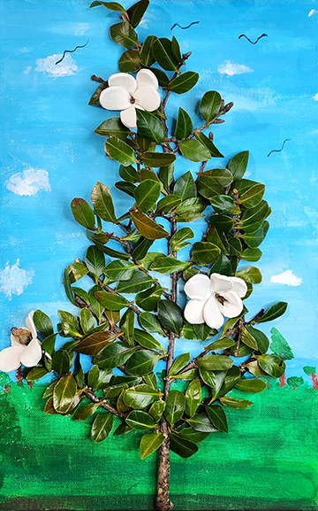 Collage of a magnolia tree.