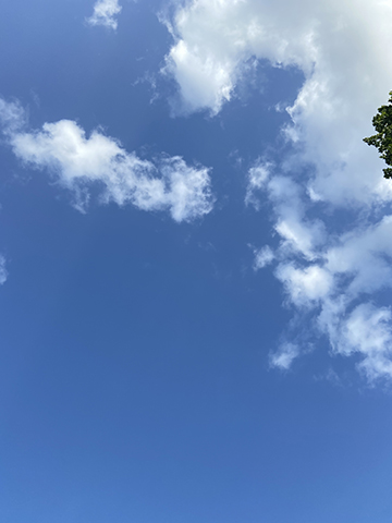 Photograph of the sky with clouds and a small tree branch with leaves.