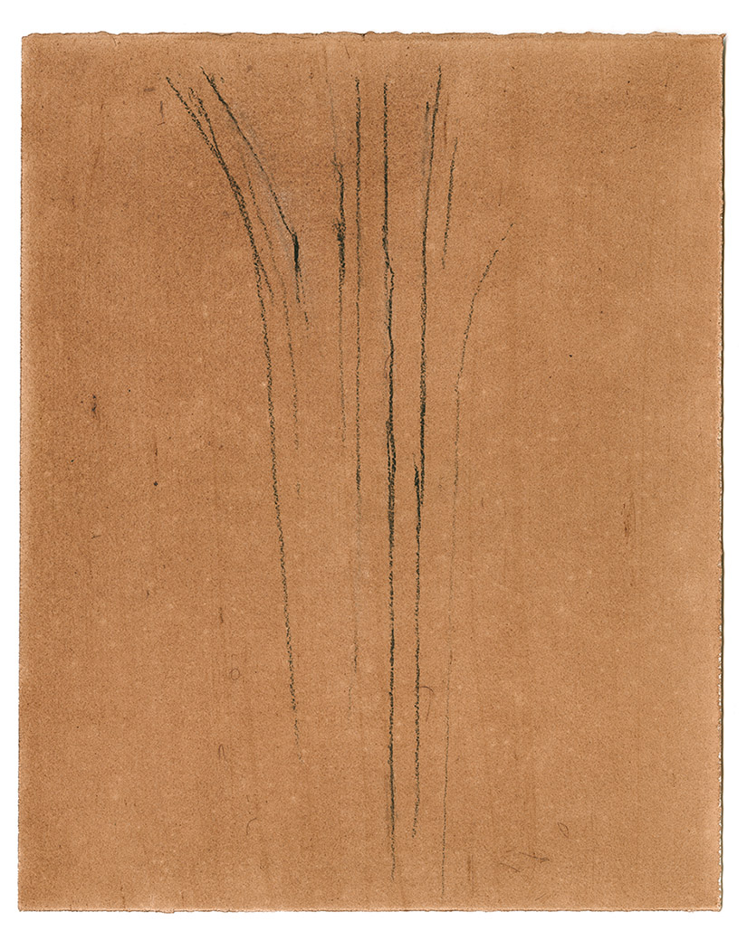 Drawing of a grouping of vertical lines on warm tan background.