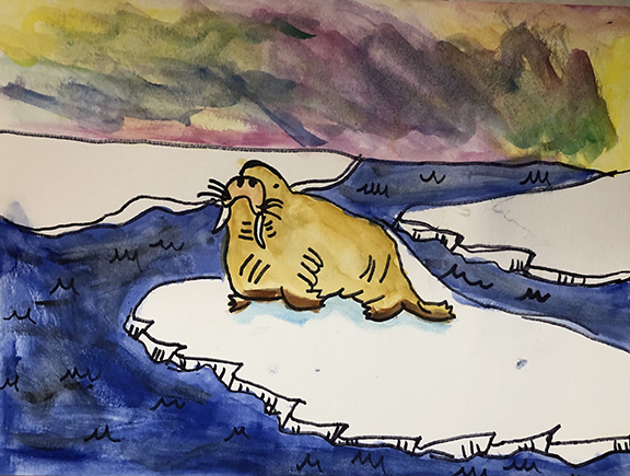 Watercolor painting of a walrus