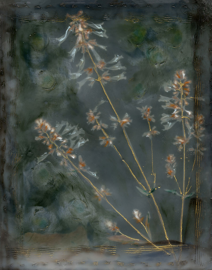 Against the Odds by Marita Gootee shows flowers in special type of blurred photography