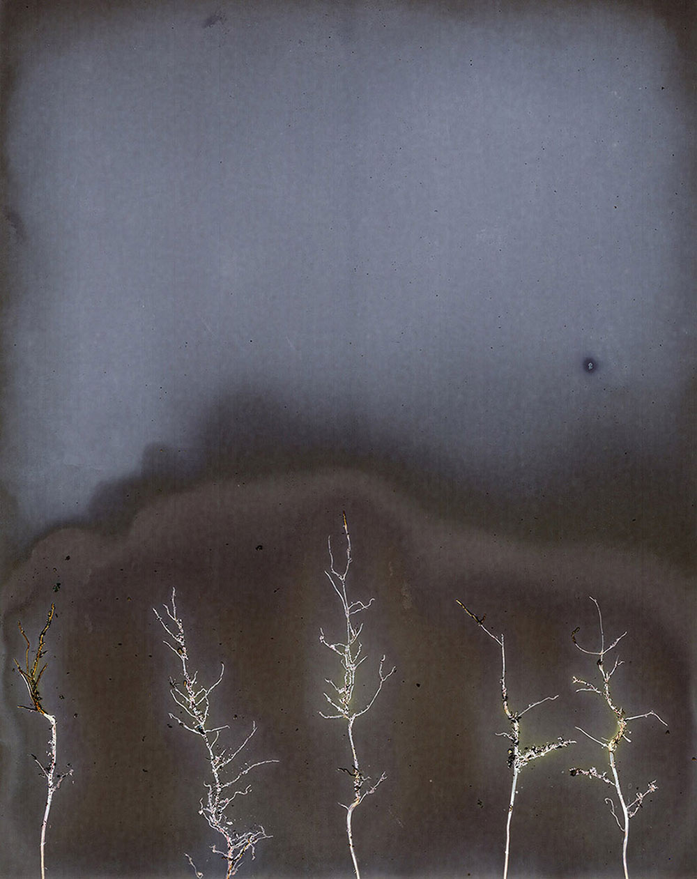 abstract Enhanced Lumen Print - looks like lightning in dark sky
