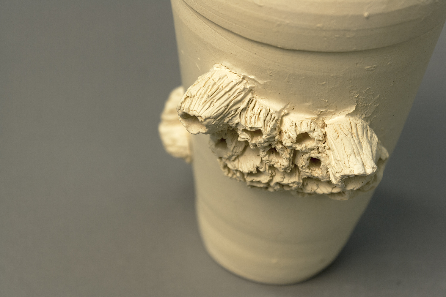 detail of barnacles on cup.