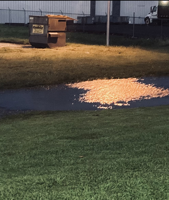 Image of light reflecting off of puddle at night.