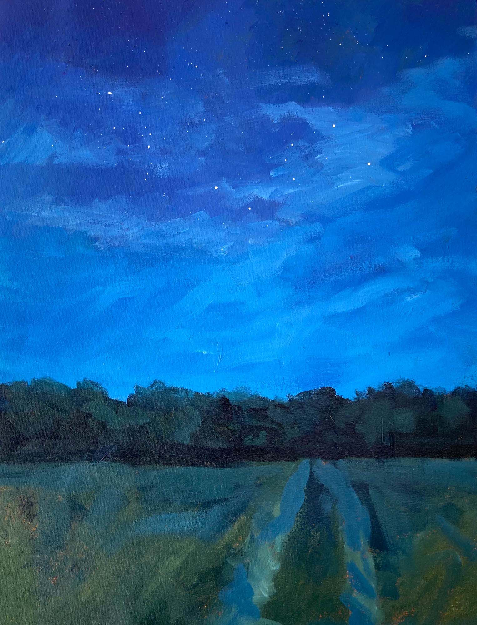 Expressive brushstrokes to indicate evening sky with clouds and stars, landscape with trees and path