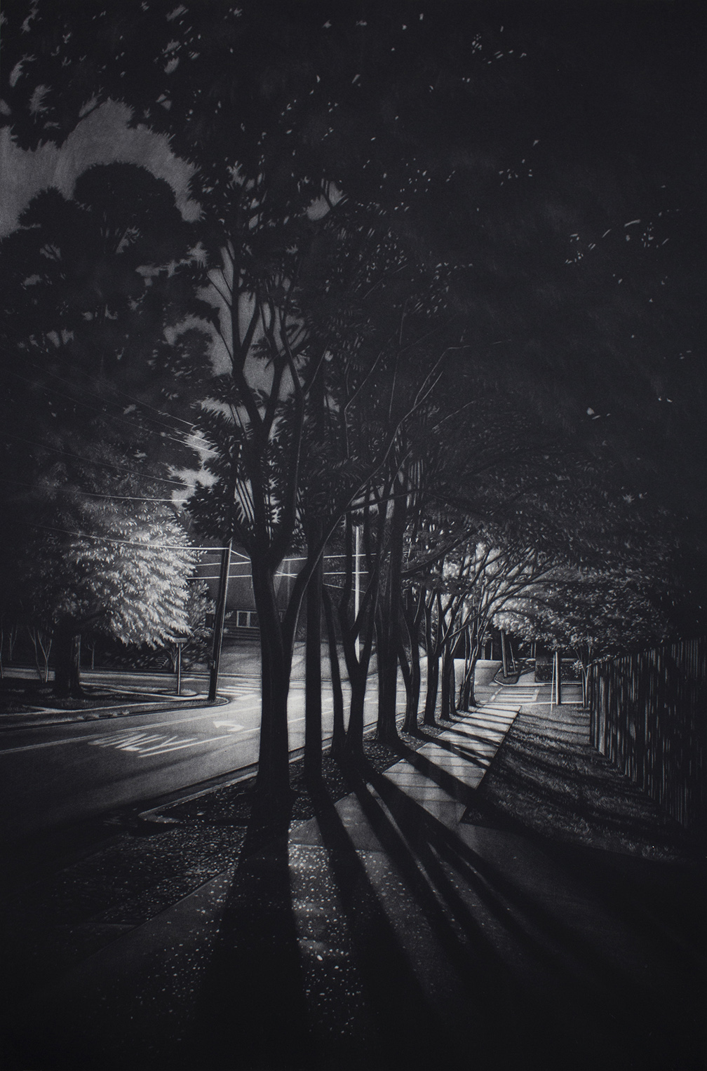 Black and white image of night scene with trees.