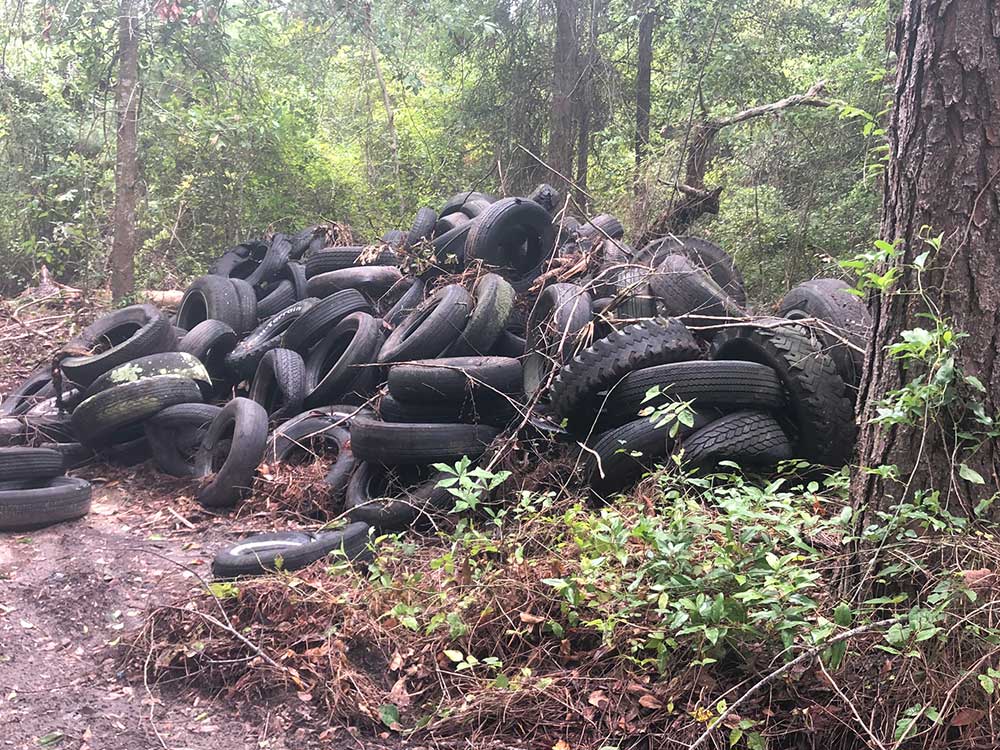 tires dumped in woods